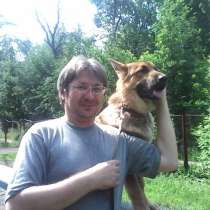 КИНОЛОГ: профессиональная дрессировка собак, в Москве