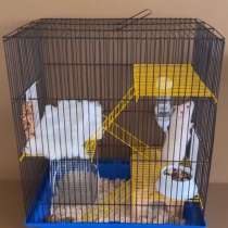 Клеточка для хомячка и крысок, в Москве