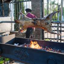 Электрический вертел на мангал для жарки барана, в Москве