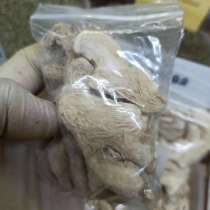 Корень имбиря, в Вологде