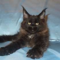 Шикарная Жизель, в Москве