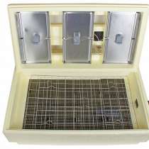 Инкубатор «Золушка», в Черняховске