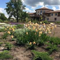 Усадьба у пруда 1155 м. кв, Волноваха, в г.Донецк