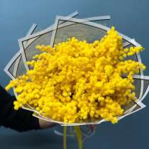 Мимоза, в Москве