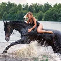 Купание с лошадьми, в Нижнем Новгороде