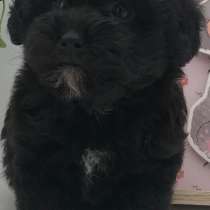 Мальтипу, в г.Гера