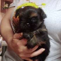 Малышка девочка, доставка по Москве, в Москве