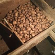 Продам картофель, в Кирове