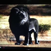 Продам 4-х ядерный комп с полным комплектом, в Владивостоке