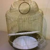 Новая клетка "золото" для пт, в Калининграде