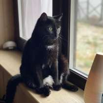 Не досмотрели, не уберегли, предали, в Москве