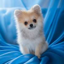 Мальчик помчи. Микро формат, в г.Мюнхен