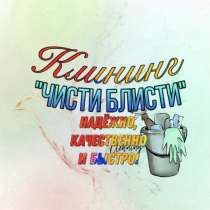 Клининговая компания «Чисти Блисти», в Железногорске