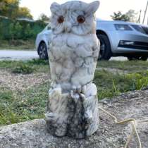 Сова мраморная, в Краснодаре