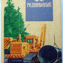 Сборник «Край родниковый», в Ижевске