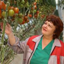 Разнорабочий на овощебазу\вахта Москва, в Москве