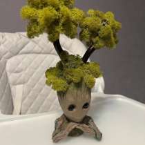 Дерево из стабилизированного мха, в Щелково