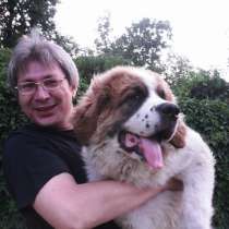 Профессиональная дрессировка собак в Москве, в Москве