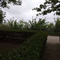 Регистрация и сопровождение предприятия в Болгарии, в г.Варна