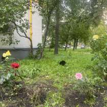 1-комн. кв в 700м от входа в Нескучный Сад и Воробьевы горы, в Москве