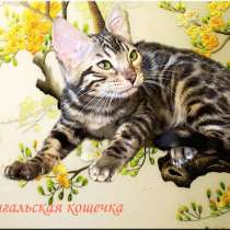 Бенгальская девочка, в Москве