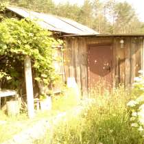 Летний домик с участком, в г.Гомель