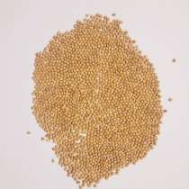 Просо желтое, в Волгограде