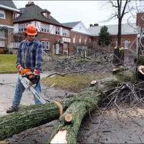 Облагораживание участка, в Тольятти