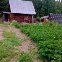 Продам дачу в Прудках, в Перми