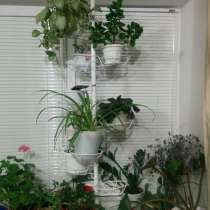 Подставки для цветов, в Переславле-Залесском