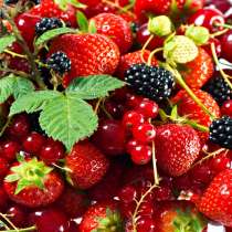 Земляника клубника смородина облепиха ирга рябина, в Москве