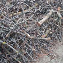 Даром, в г.Тирасполь