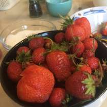 Продаю садовый участок, СНТ Аэрофлот-1, в Новосибирске