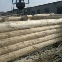 Сруб бани из Осины, в Москве