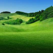 Электрика, в Севастополе