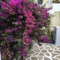 Комфортабельный дом с видом на горы в Тиносе Греция, в г.Кос