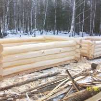 Сруб бани из Липы, в Москве