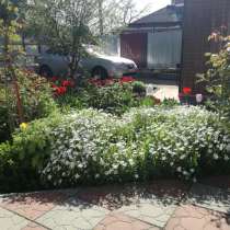 2 х комнатный домик на 6 чел.Отдых в г. Ейске частный сектор, в Ейске