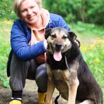 Собака, которая любит обниматься, в Санкт-Петербурге