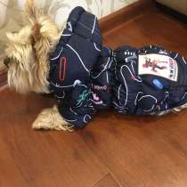 Куртка унисекс для мелкой собачки, в Москве