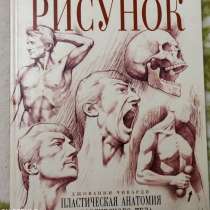 Рисунок. Д. Чиварди. 2 тома. Пластическая анатомия, в Твери