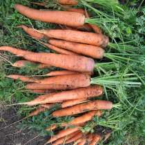 Продается дача, в Нижневартовске