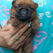 Рыжая девочка брабочка, в Москве