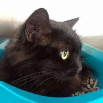 Золушка верит в счастливую сказку, в Москве