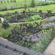 Благоустройство приусадебного участка в Дмитрове, в Дмитрове