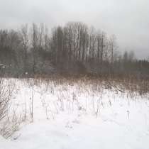 Участок в Свекловичном, в Выборге