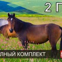 Электропастух для лошадей, в Чебоксарах