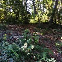 Продам з/у 5 сот в Сочи(Хоста).с. Каштаны, в Сочи