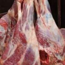 Говядина полутуша, в Тюмени