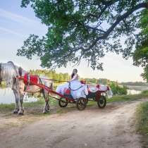 Прогулка в карете в Нижнем Новгороде, в Нижнем Новгороде